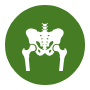 Hip