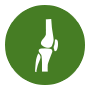 Knee