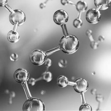 The retinblastoma Protein